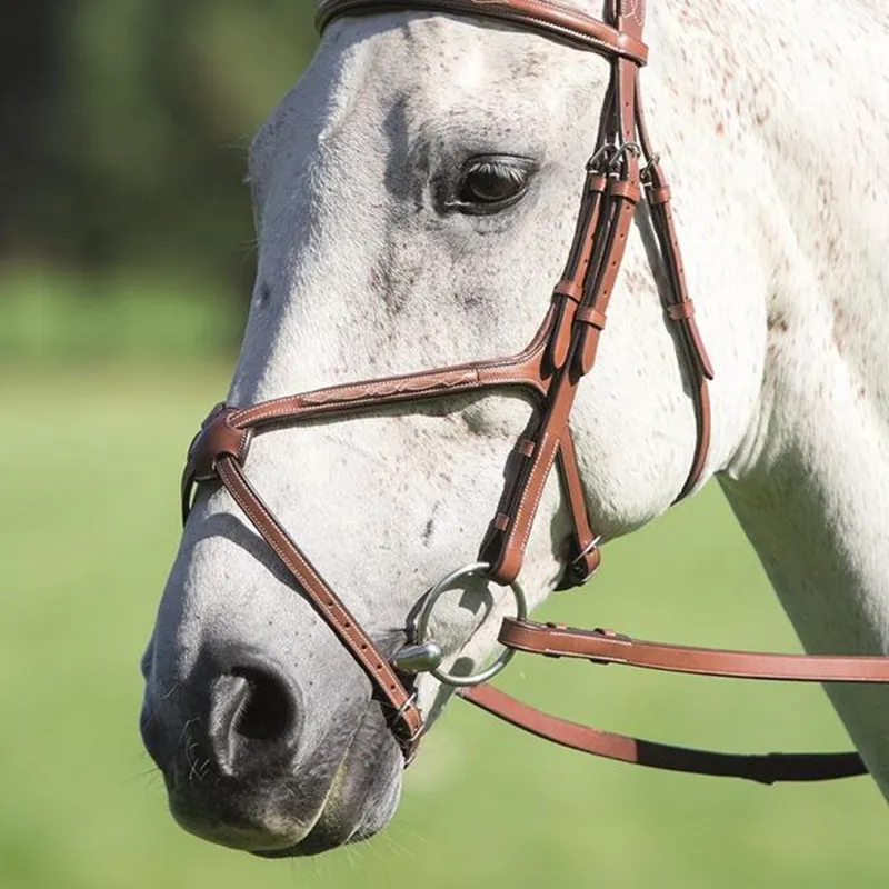 Shires Avignon Grackle Noseband - Oak 